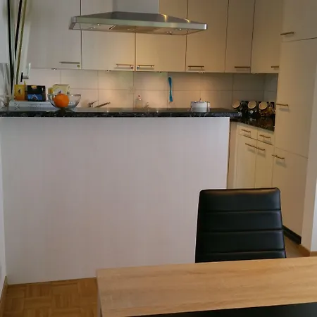 Max Aviation & Värdshus Bern