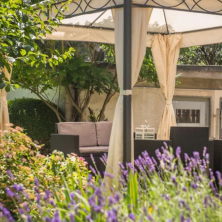 Max Aviation & אורחן ברן