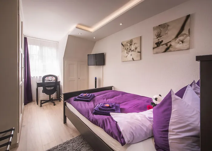 麦克斯航空别墅&公寓旅馆 伯尔尼