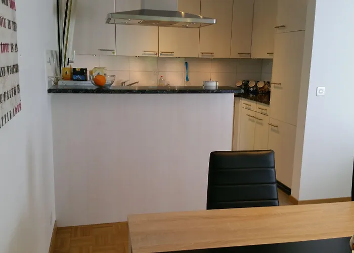 麦克斯航空别墅&公寓旅馆 宾馆 伯尔尼