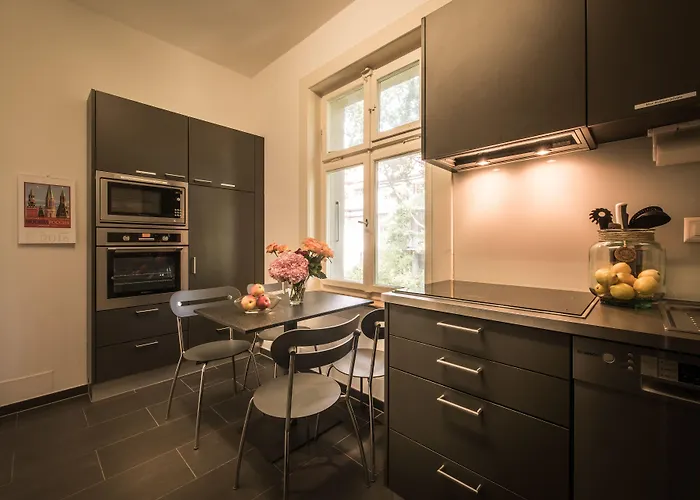 宾馆 麦克斯航空别墅&公寓旅馆 3*