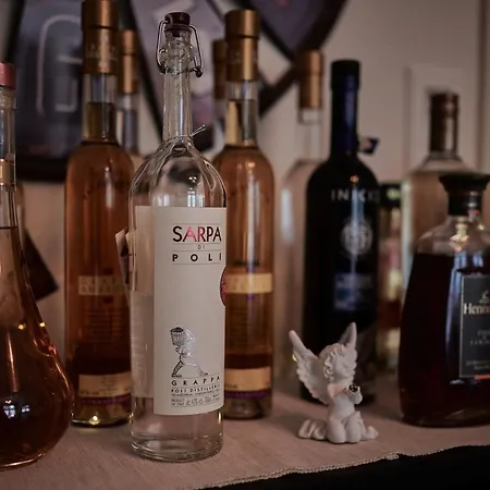 Max Aviation & Zajazd Berno