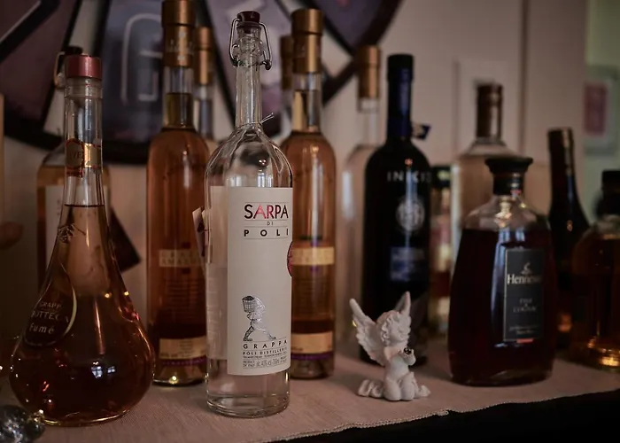 Max Aviation & Inn Bern